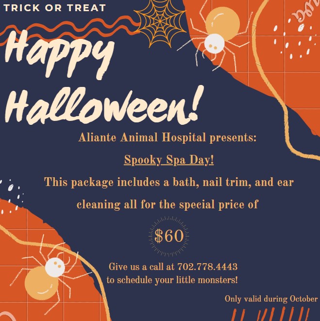 Spooky Spa Day Special at Aliante Animal Hospital - Aliante Animal Hospital