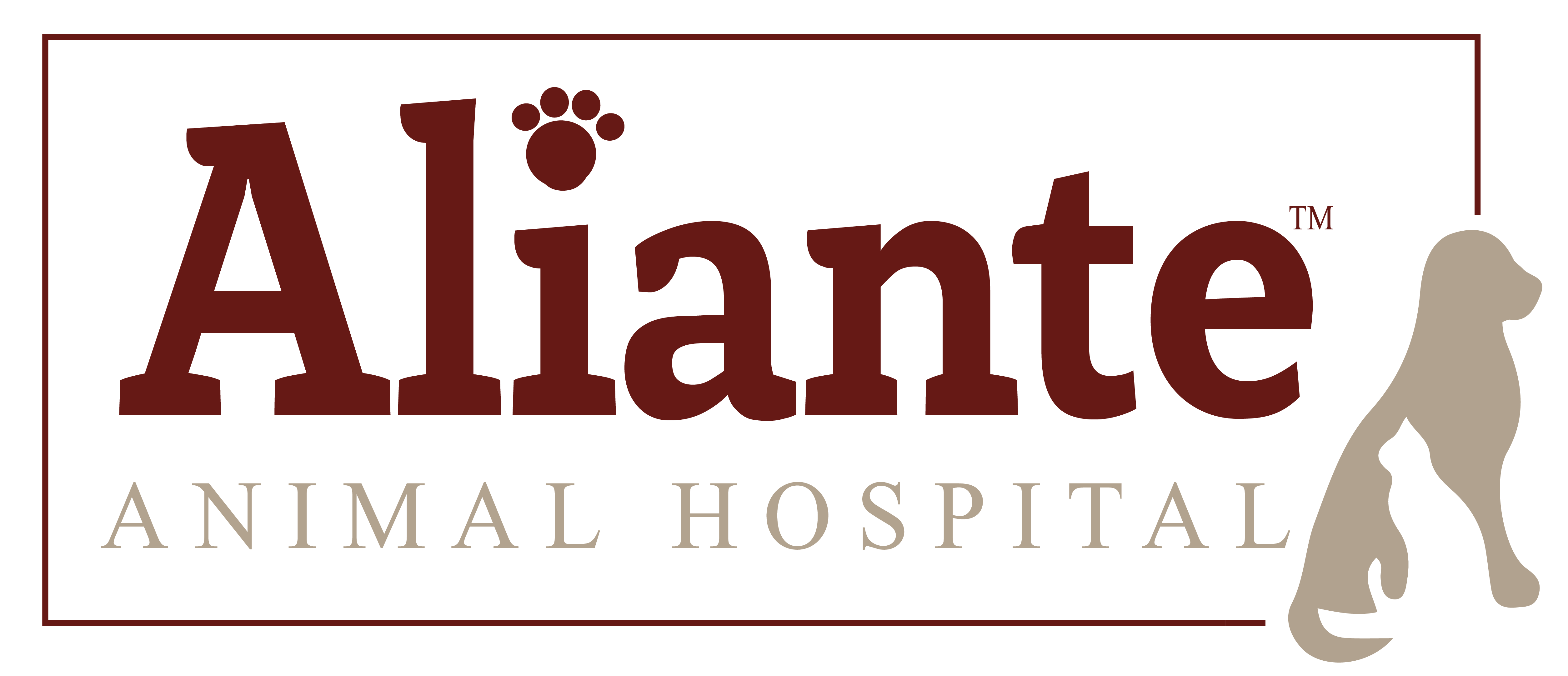 Career Opportunities Aliante Animal Hospital