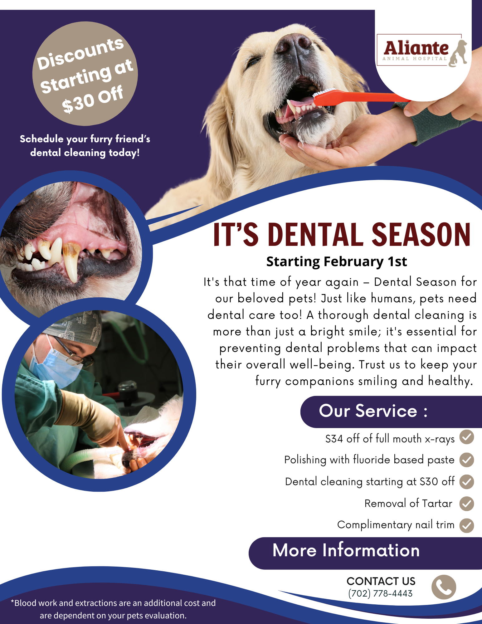 Pet Dental Care 2024 - Aliante Animal Hospital